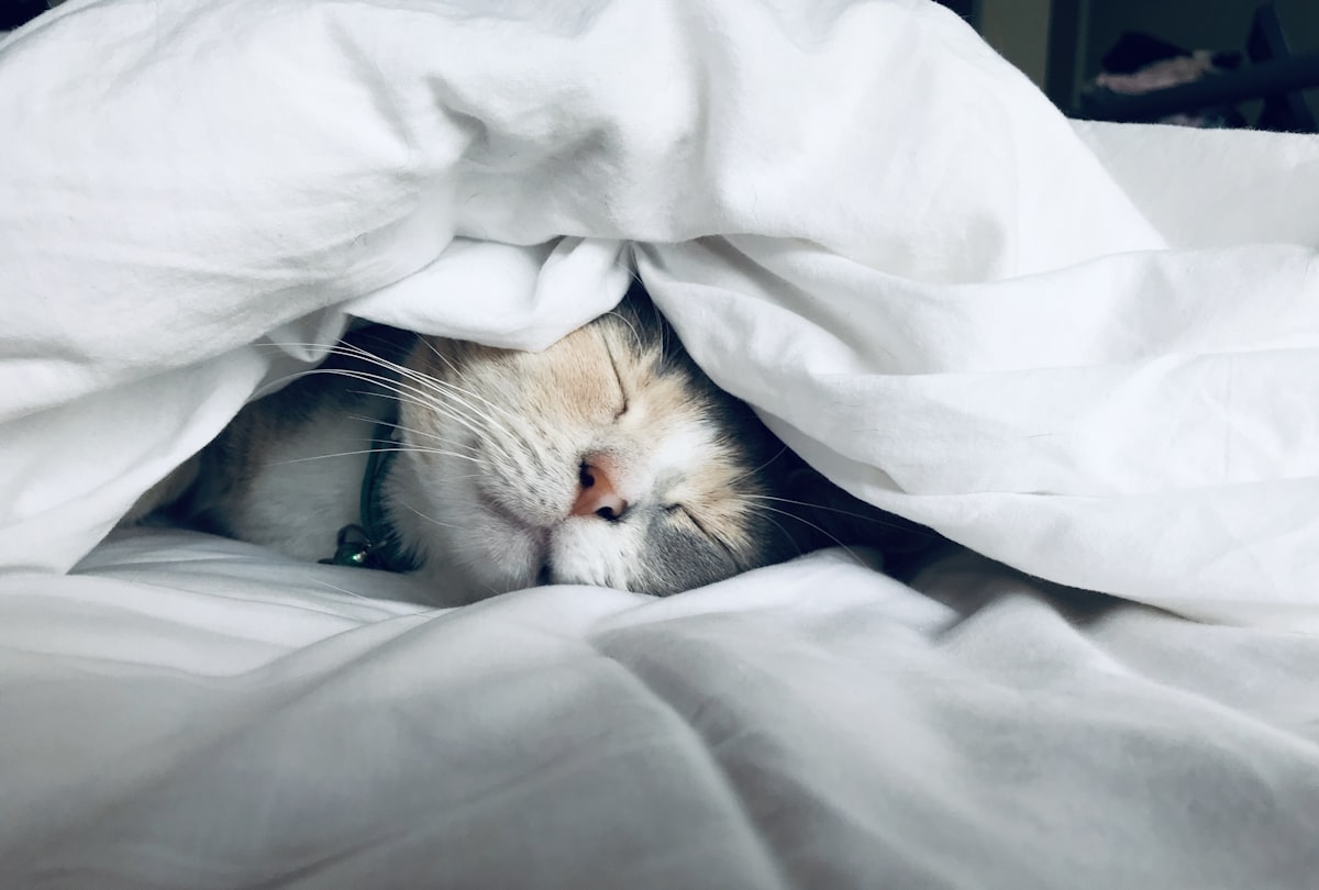 A Good Night's Sleep