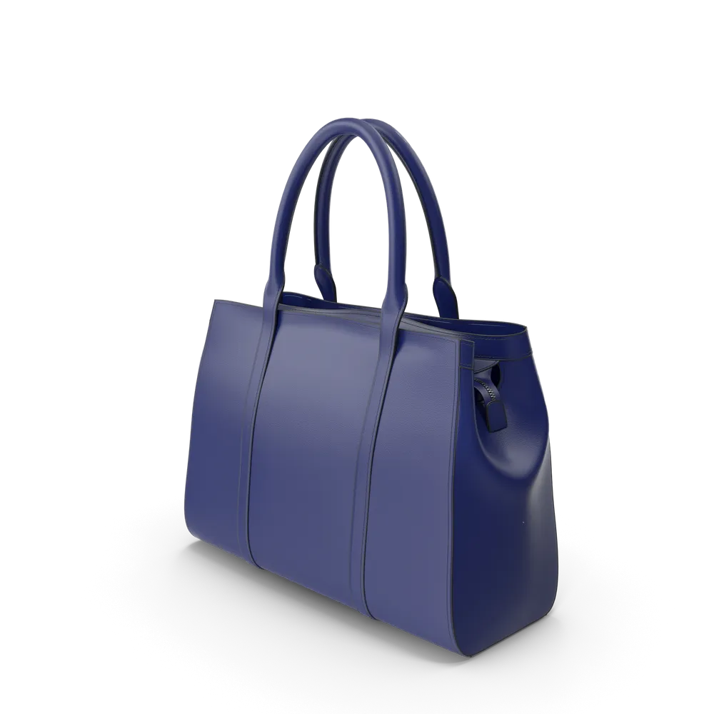 Blue Women's Handbag