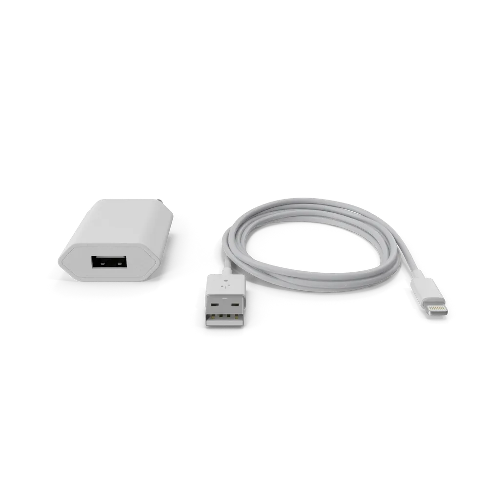 Apple iPhone Charger