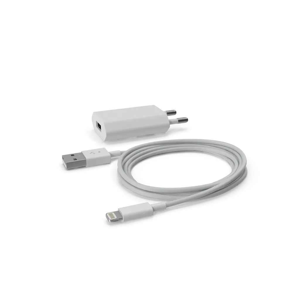 Apple iPhone Charger